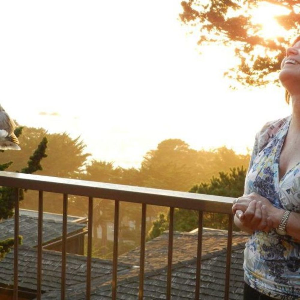 Meet your Posher, Elva